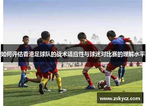 如何评估香港足球队的战术适应性与球迷对比赛的理解水平