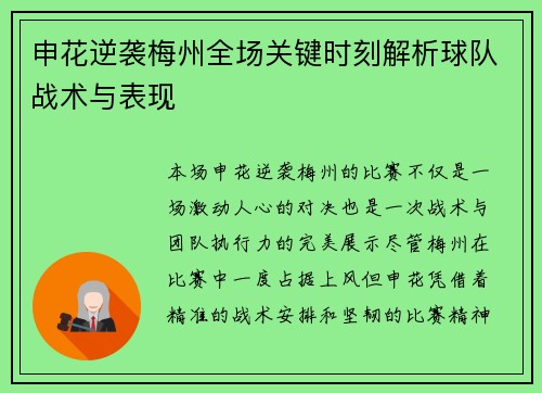 申花逆袭梅州全场关键时刻解析球队战术与表现