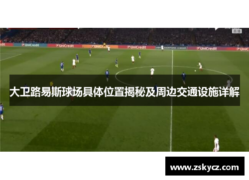 大卫路易斯球场具体位置揭秘及周边交通设施详解