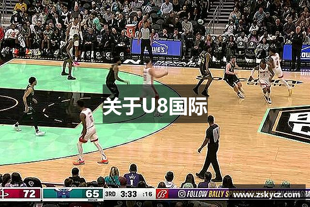 关于U8国际